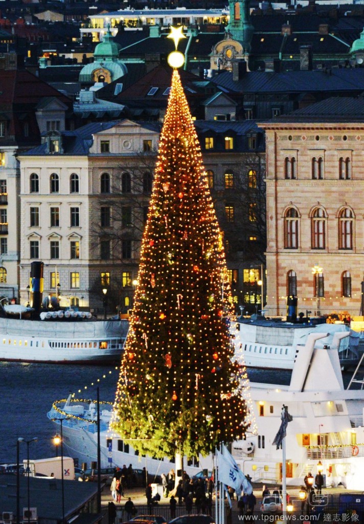 Stockholm Christmas Tree