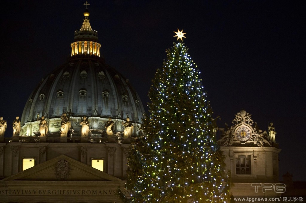 Christmas tree in St. Peter's Square