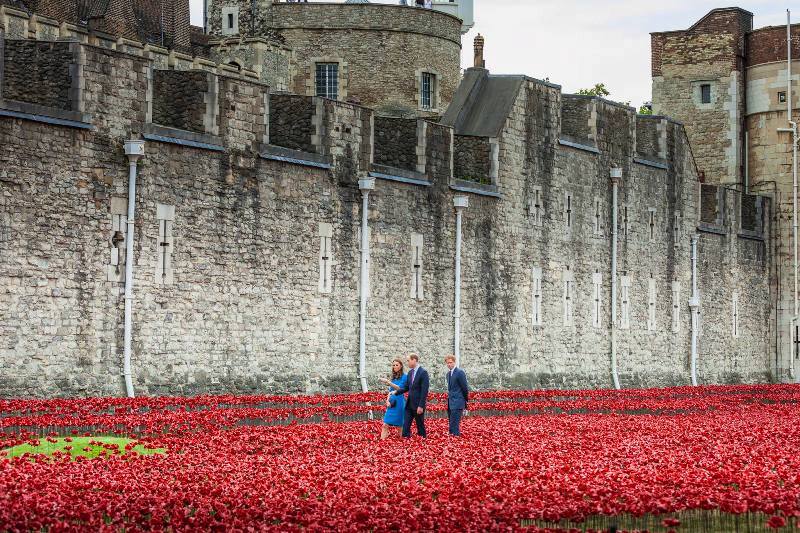 英國皇室 倫敦塔88萬朵陶瓷罌粟花