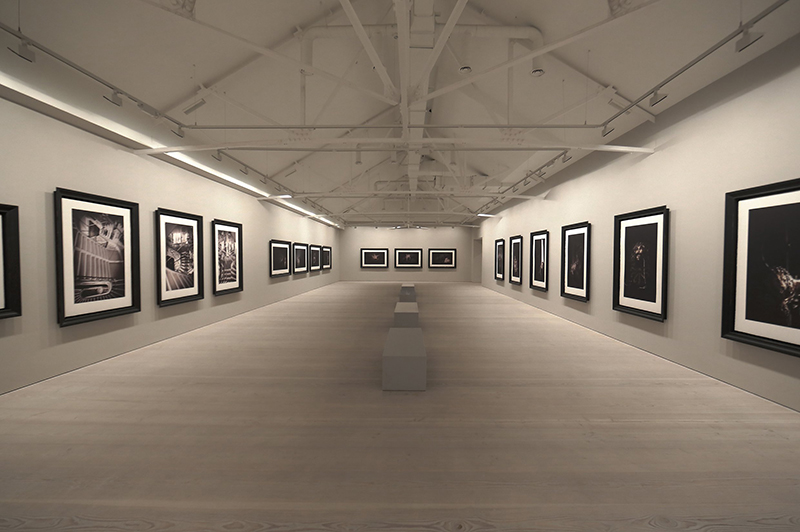 Second Floor - Sam Taylor-Johnson's photographic exhibition - Saatchi Gallery - London - 014