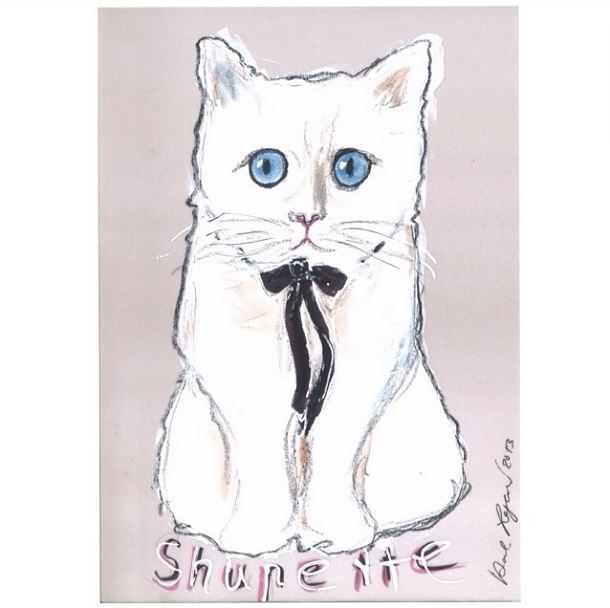 Karl Lagerfeld以Choupette為靈感為「Shupette」彩妝系列繪製插畫，在全系列彩妝包裝皆可看見Choupette的身影。