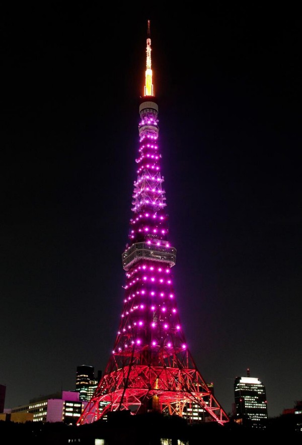 東京鐵塔點起粉紅燈光
