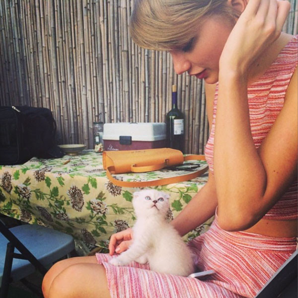 沒有愛情滋潤，泰勒絲能有愛貓Olivia Benson陪在身旁。