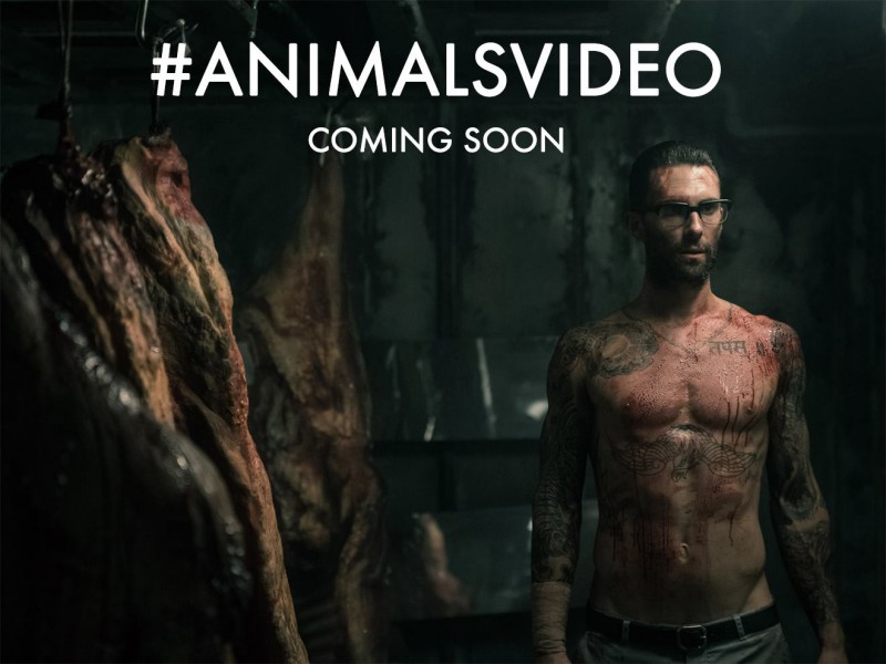 亞當李維在新歌「獸性大發Animals」MV中變身不修邊幅的屠夫 