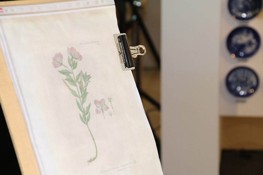 每一位畫師都會有《丹麥之花植物圖鑑》的複本，以方便他們攜帶出國巡迴演出 （BeautiMode / 攝）