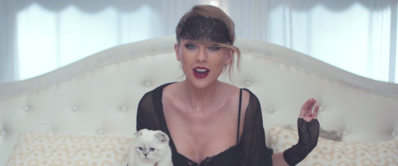 泰勒絲的愛貓Olivia Benson也出現在新單曲「Blank Space」MV中
