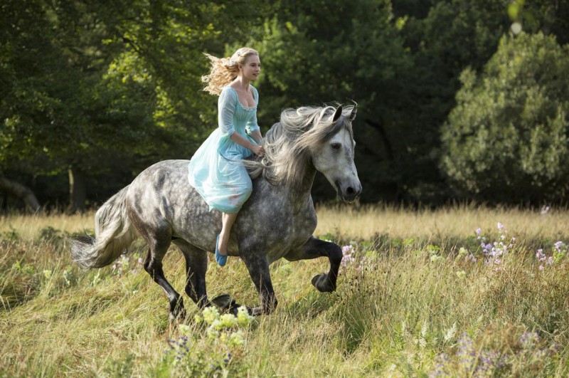 新生代女星莉莉詹姆斯將接棒莉莉柯林斯、艾兒芬妮等人，詮釋童話世界的公主「灰姑娘」。