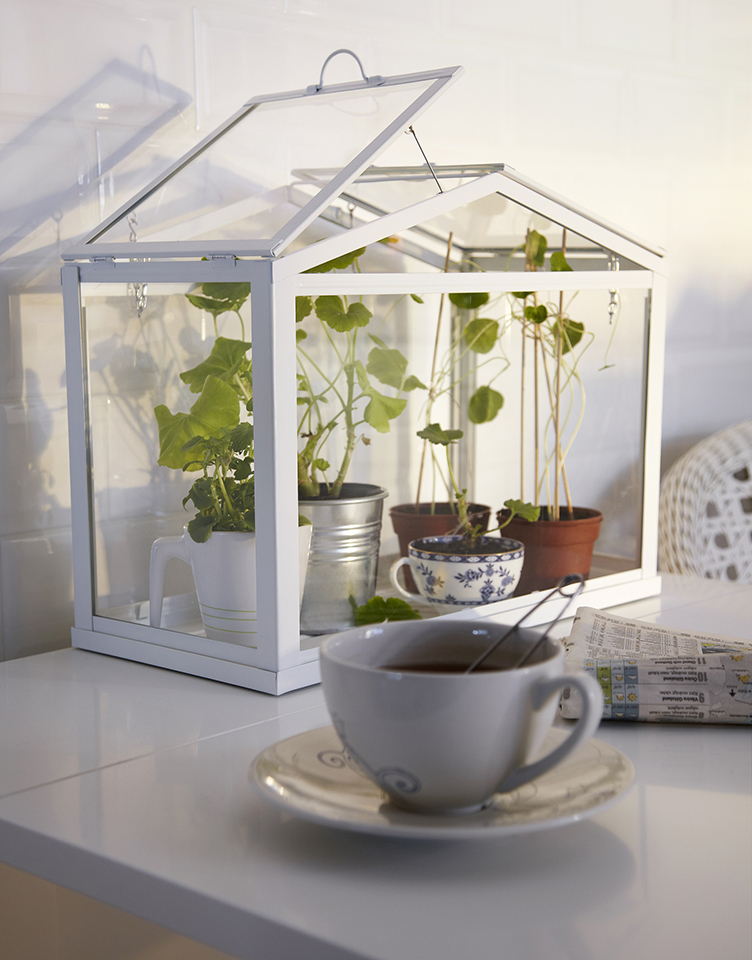 小型溫室可種植料理用的香草（圖／IKEA）