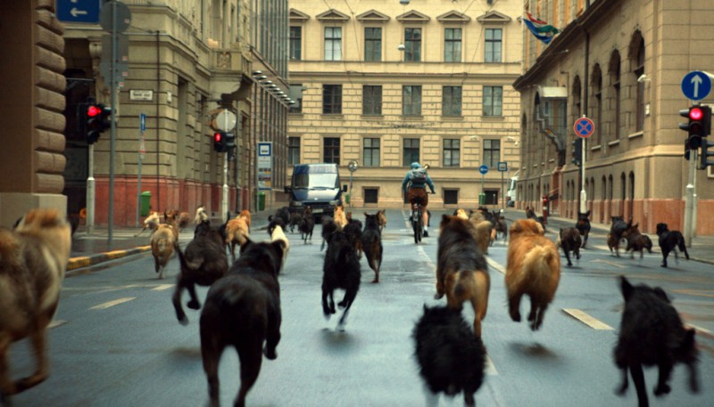影片開場多達247隻狗狗在布達佩斯大街奔馳的震懾場景，令人對導演掌控場面調度能力嘆為觀止，為了細膩捕捉每隻狗狗的眼神表情，他也刻意用低角度的手持鏡頭拍攝。