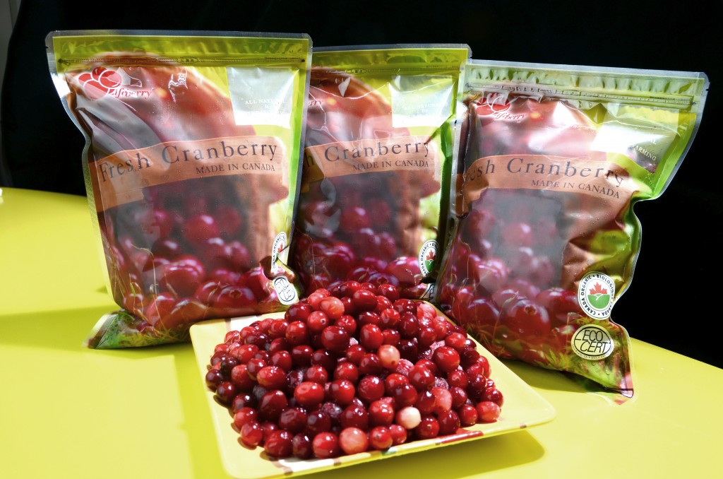 新鮮蔓越莓榨汁效果比保健食品更理想。Lifeberry生鮮蔓越莓一公斤袋裝，一包800元。(圖/Lifeberry)